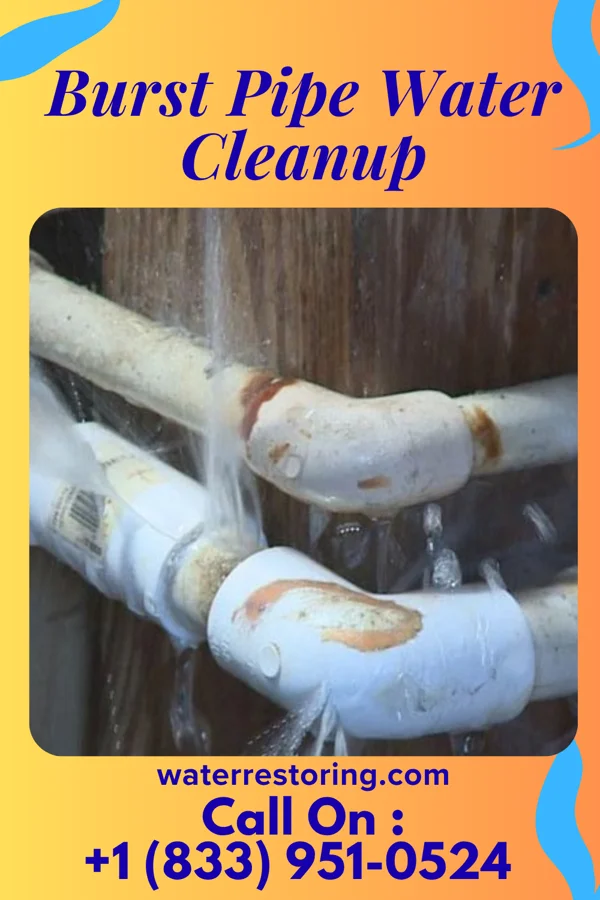 Burst Pipe Water Cleanup in Floral Park, NY
