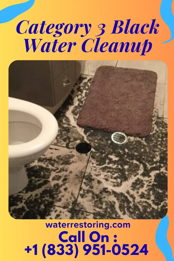 Category 3 Black Water Cleanup in Floral Park, NY