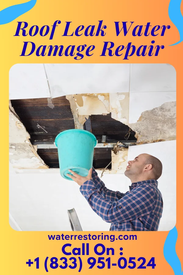 Roof Leak Water Damage Repair in Floral Park, NY