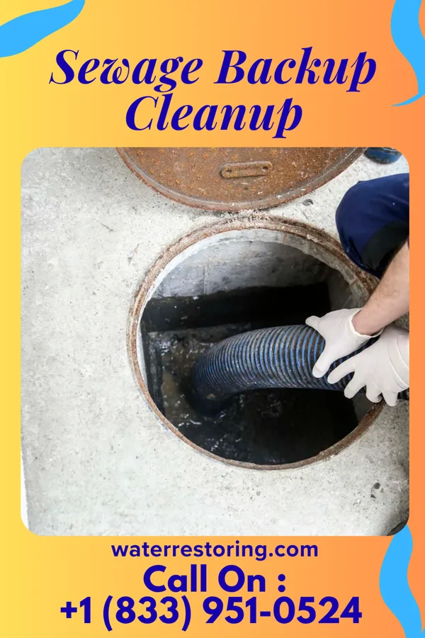 Sewage Backup Cleanup in Floral Park, NY