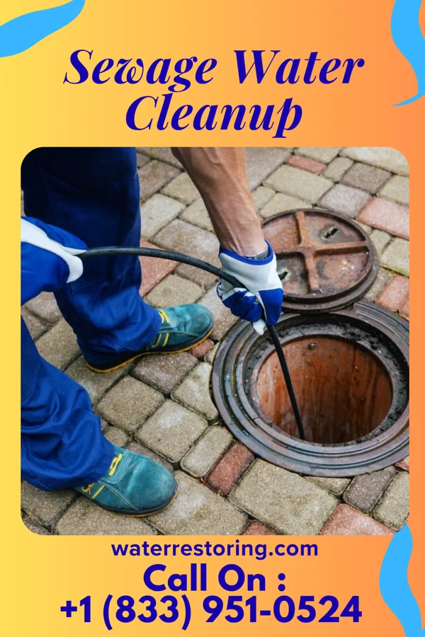 Sewage Water Cleanup in Floral Park, NY